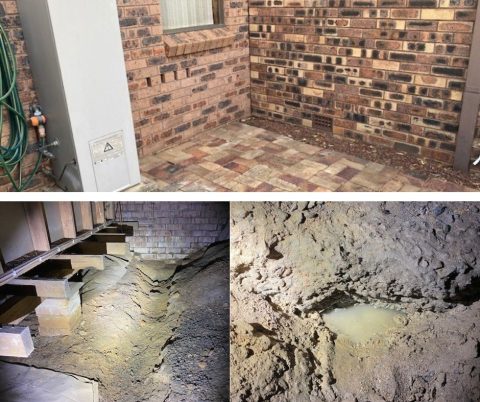 inadequate-site-and-subfloor-drainage