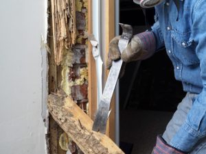 You could be unknowingly welcoming Termites into your home?